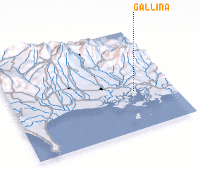 3d view of Gallina