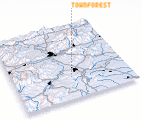 3d view of Town Forest