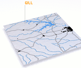 3d view of Gill