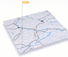 3d view of Isom