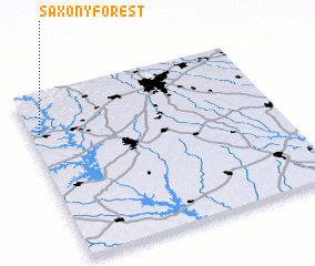 3d view of Saxony Forest