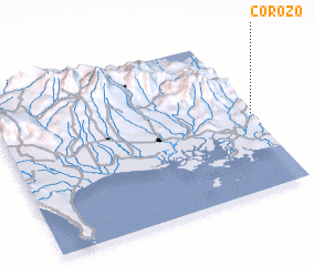 3d view of Corozo