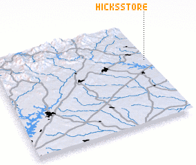 3d view of Hicks Store