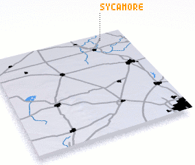 3d view of Sycamore