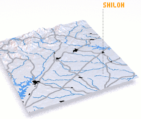 3d view of Shiloh