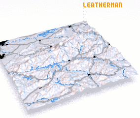 3d view of Leatherman
