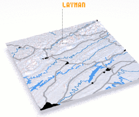3d view of Layman