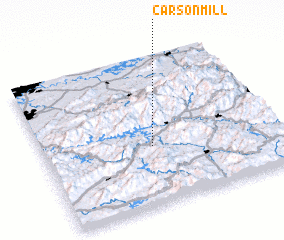 3d view of Carson Mill