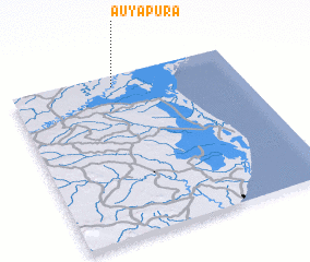 3d view of Auyapura