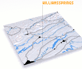 3d view of Williams Springs