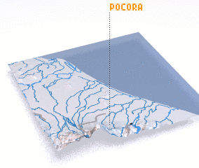 3d view of Pocora