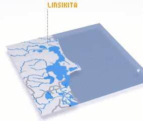 3d view of Linsikita