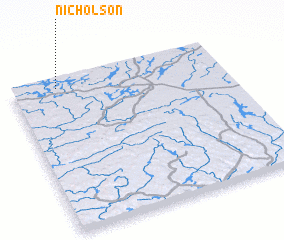 3d view of Nicholson