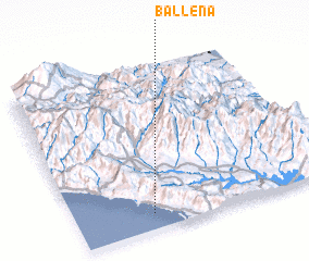 3d view of Ballena