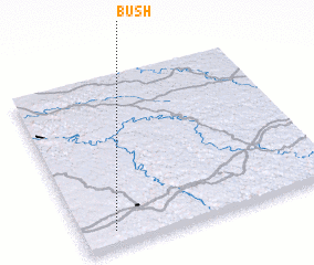 3d view of Bush