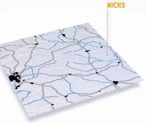 3d view of Hicks