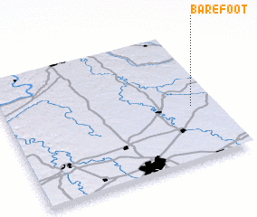 3d view of Barefoot