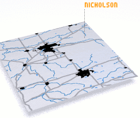 3d view of Nicholson