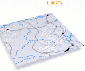 3d view of Liberty