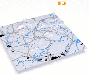 3d view of Mica