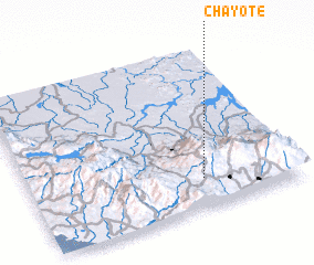 3d view of Chayote