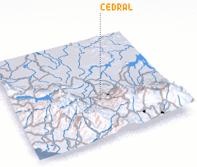 3d view of Cedral