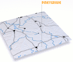 3d view of Piney Grove