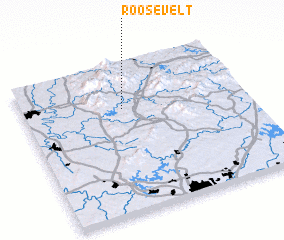 3d view of Roosevelt