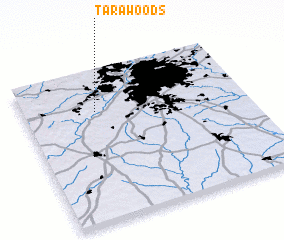 3d view of Tara Woods