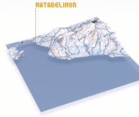 3d view of Mata de Limón