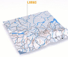 3d view of Loras