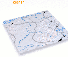 3d view of Cooper