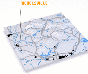 3d view of Nickelsville