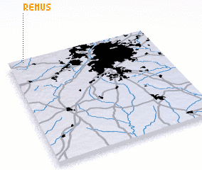 3d view of Remus