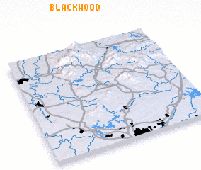 3d view of Blackwood