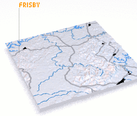 3d view of Frisby