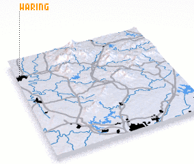 3d view of Waring