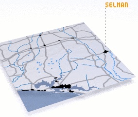 3d view of Selman