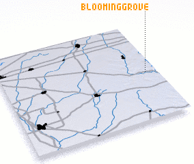 3d view of Blooming Grove