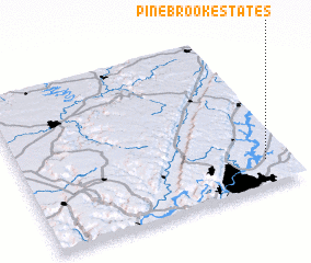 3d view of Pinebrook Estates