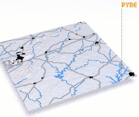 3d view of Pyne