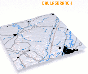 3d view of Dallas Branch