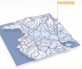 3d view of Paso Real