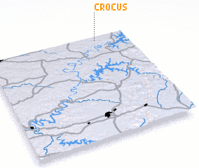 3d view of Crocus