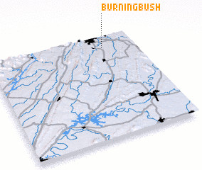 3d view of Burning Bush