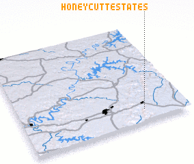 3d view of Honeycutt Estates