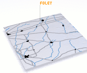 3d view of Foley