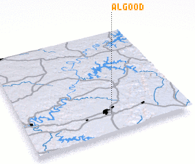 3d view of Algood