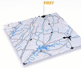 3d view of Piney