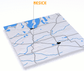 3d view of Mesick